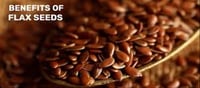 Benefits of eating flax seed daily..!?
